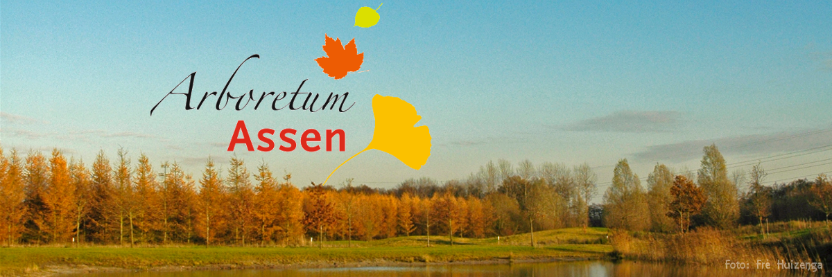 arboretum assen