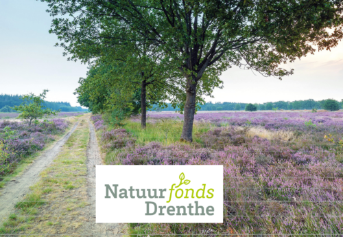 Natuurfonds Drenthe heeft een nieuwe website